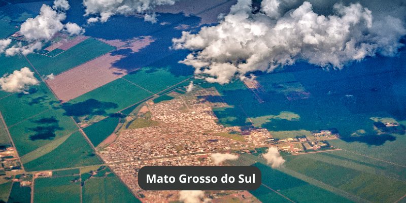 O que fazer em Mato Grosso com crianças?